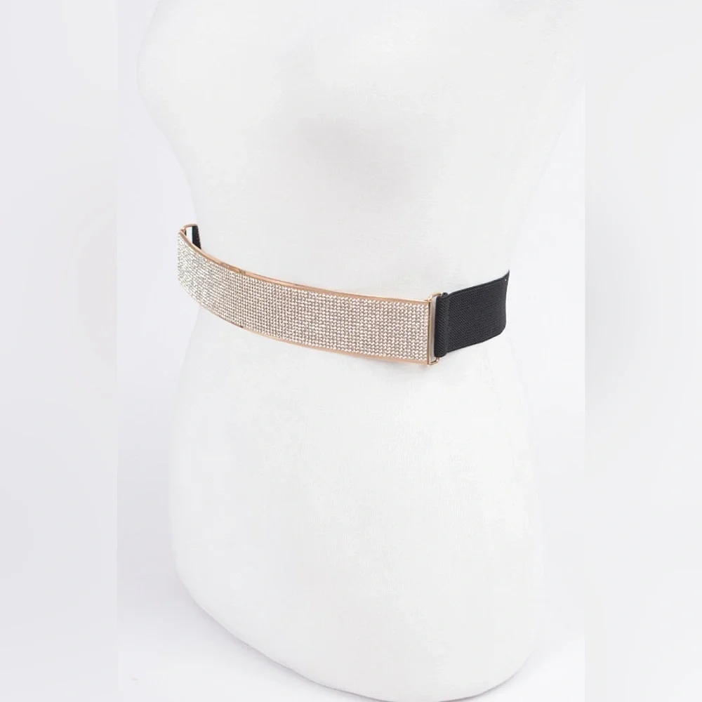 Rhinestone Metallic Plaque Elastic Statement Belt - Picture 4 of 7